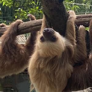 Meet your Posher, Elisa